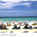 태양의 제국 열대의 바다 태국푸껫(phuket) 이미지