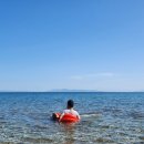 해변의 바람 이미지