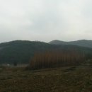 동강공인중개사사무소 이미지