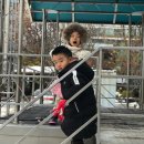 혜화병설유치원 이미지