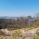 일산수목장