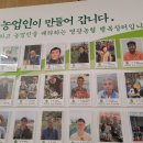 영광마트 Daum카페