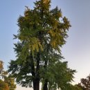 신성리생태공원 이미지