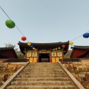 불갑저수지 수변공원 | 전라남도 영광 - 불갑사, 불갑저수지 수변공원 다녀온 후기!!