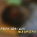 자연사진실 이미지