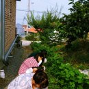 서림요양원 이미지