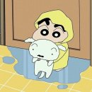 6669 | ❄️ GV80 신차패키지 후기｜신차검수부터 마디코 아비스NR 썬팅·유리막·도어PPF까지