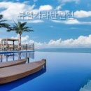 뷰델카라반펜션 | 뷰델카라반펜션 경상북도 펜션 다녀왔는데 와.. 정말 좋더라
