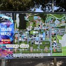 강진-33 | 2026 강진청자축제 전남 아이랑 갈만한 곳 다양한 체험 반값여행 이벤트까지 완벽