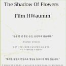 모토찬스 | W07. 본식 DVD 내돈내산 후기, 결혼식 웨딩 영상 가성비업체 추천