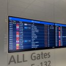 817 | 인천 옌타이 이스타항공 ZE817 탑승 후기, 비행기값, 비행 시간 기내식 (중국 입국심사서 미리 큐알...