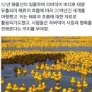 러버덕의 유래 이미지