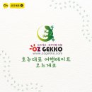 오즈커뮤니케이션주 | 서퍼스 파라다이스 서핑 레슨 예약-> 일정 ->리얼 후기 2시간 서핑 레슨 + 무료 보드 렌탈까지 가성비 짱!