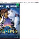 우정앤독스 이미지