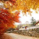가을 타는 것 같아"... 가을에 가면 더 좋은 서울 근교 가을 여행지 BEST6 이미지