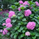 작은막공원 이미지