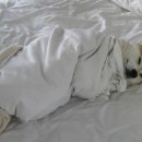 재연목장 이미지