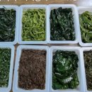 바다품은집 이미지