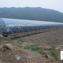 오가네농장 이미지