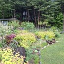 대전둘레산길(10구간) | 방동리 둘레길 산행 후기 🌲