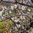 산수재민박 네이버블로그