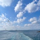 제주특별자치도 장애인요트연맹 | [제주] 우도 가는 법 총정리 - 성산항 출발 시간표, 가격, 결항 확인 방법, 성산항 공영주차장 주차요금