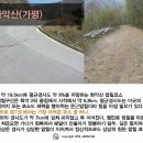 업힐 Daum카페