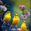 동트는집민박