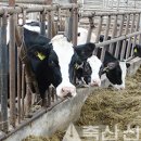 학운축산 이미지