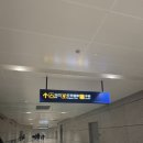 춘추항공여행사주 | 상하이 무비자 여행 ✈️ 춘추항공 후기 & 트립닷컴 공항 픽업 솔직 후기