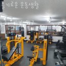 슬기로운운동생활