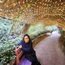 24년 1월 21일 포천 허브아일랜드 힐링존-허브 온실 식물원 반짝이는 로즈마리 터널 보랏빛 벤치에서 이미지