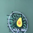 아보(avo) 이미지