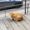 모악산 돌담가 이미지