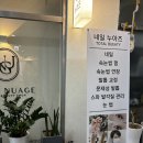 네일누아즈