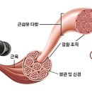 헬스story 이미지