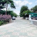 장재로 | 김해 강아지 운동장 추천 여름에도 마음껏 뛰어놀 수 있는 김해 장재로167