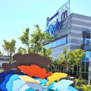 이수조 | 요즘 핫한 괴산 아쿠아리움 - 무료개방 후기