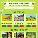 해담꽃민박