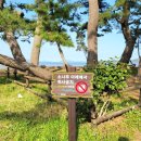 나로우주해수욕장 이미지