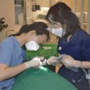 수미치과의원 이미지