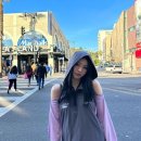 제노젠 이미지