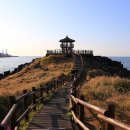 닭머르해안길 이미지