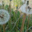 호암1단지아파트 이미지