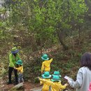 당림초병설유치원 이미지