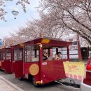 지에스25 화성매향점 | 수원화성 화성어차+플라잉수원+XR버스 한 번에 즐기는 법 (내돈내산 솔직후기)