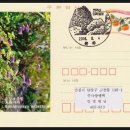 금강초롱 이미지