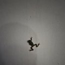 다압보건지소 이미지