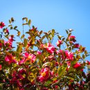 갈맷길(2코스) 이미지