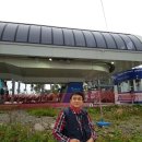 정든카정비 이미지